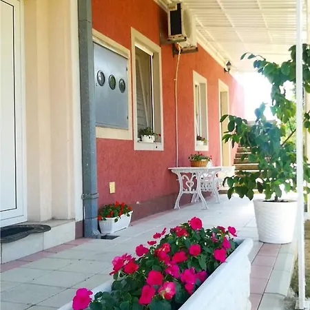 Pensiune Maslina Semendria