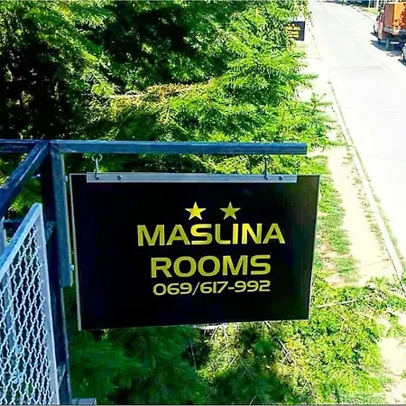 Pensiune Maslina Semendria