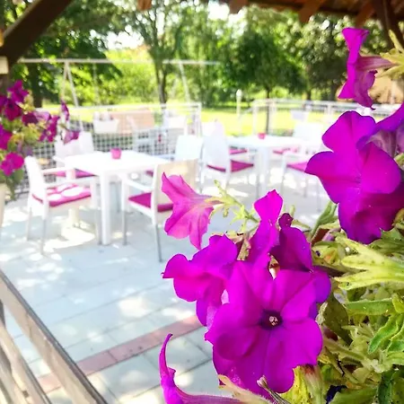 Maslina Pensiune Semendria