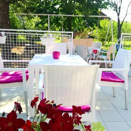 Maslina Smederevo