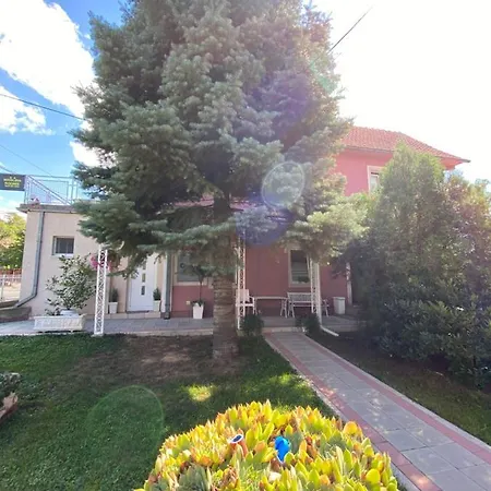 Maslina Smederevo