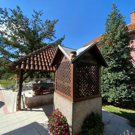 Maslina Smederevo