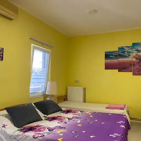 Maslina Pensiune Semendria