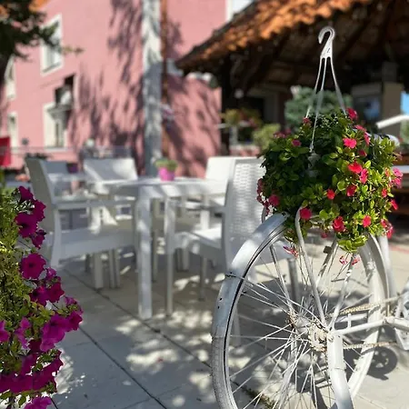 Maslina 3* Semendria