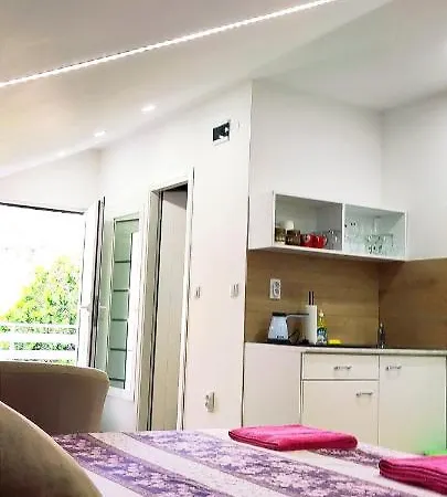 Pensiune Maslina Semendria