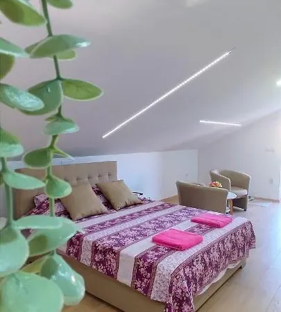 Maslina 3* Semendria