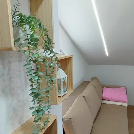 Maslina Guest house 3*