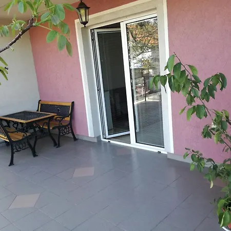 Maslina Smederevo