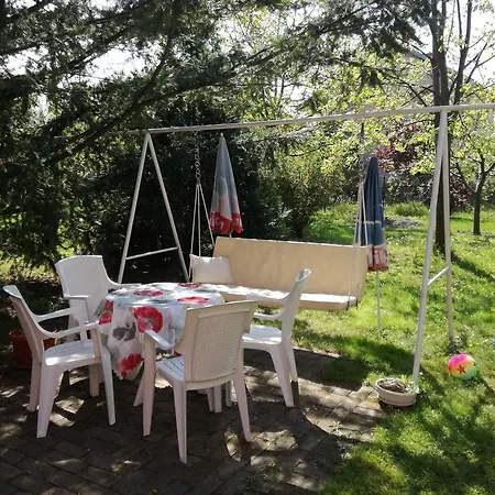 Maslina 3* Semendria