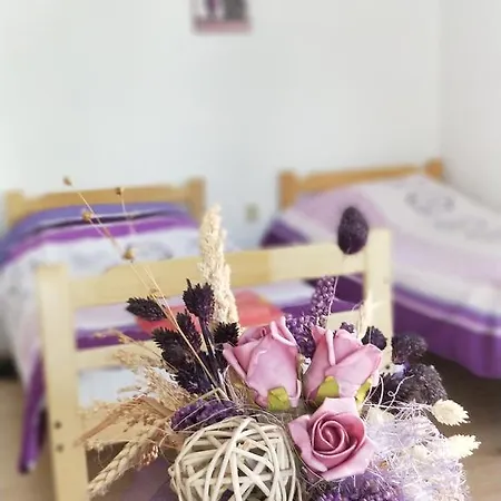 Maslina 3*